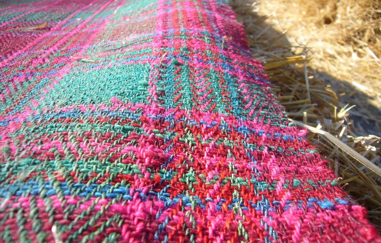 Photo wallpaper the sun, carpet, the barn