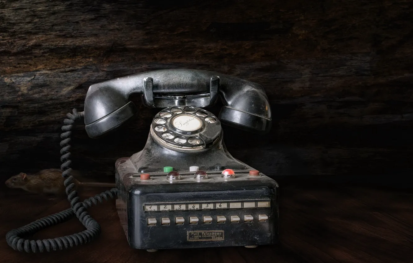 Photo wallpaper background, phone, aparat