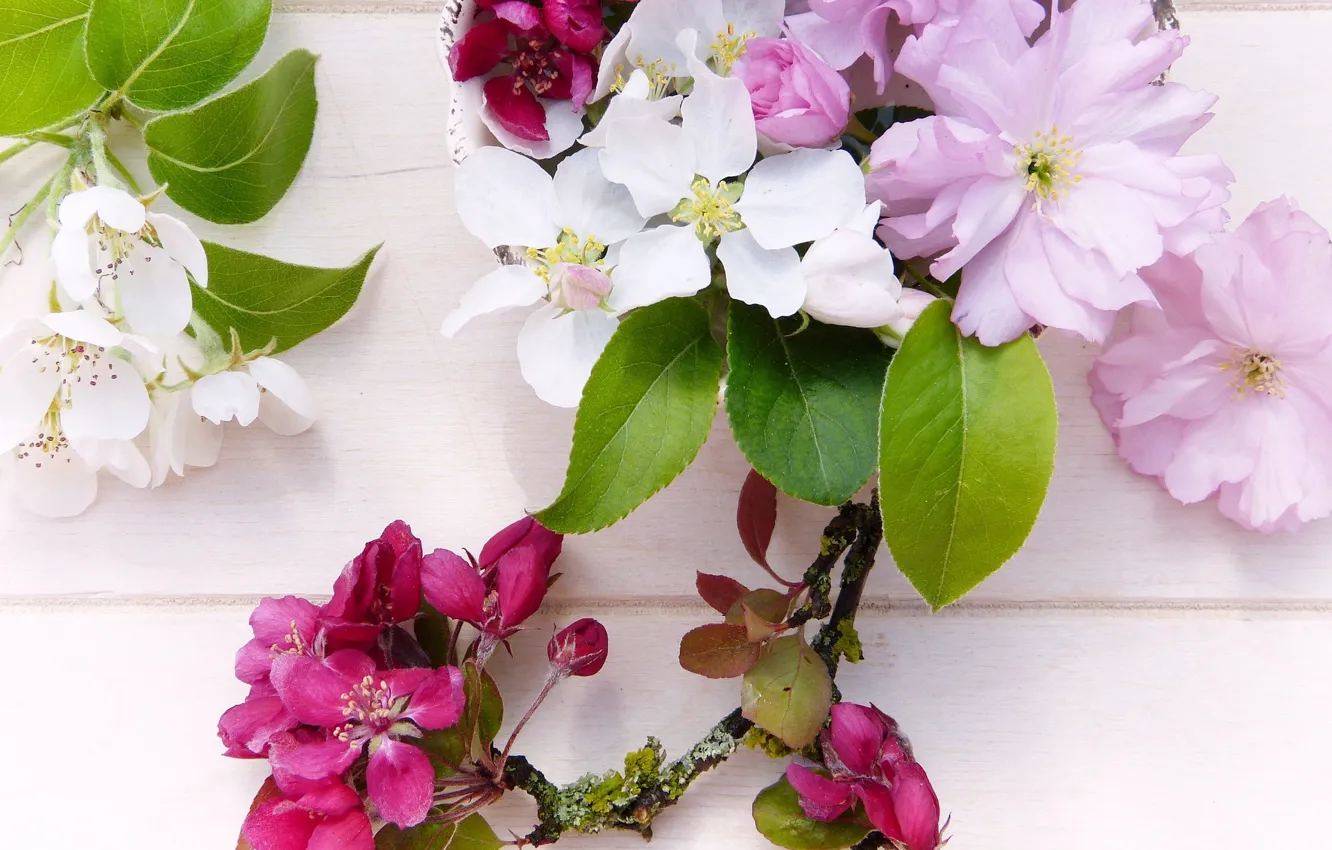 Photo wallpaper flowers, sprig, background, spring