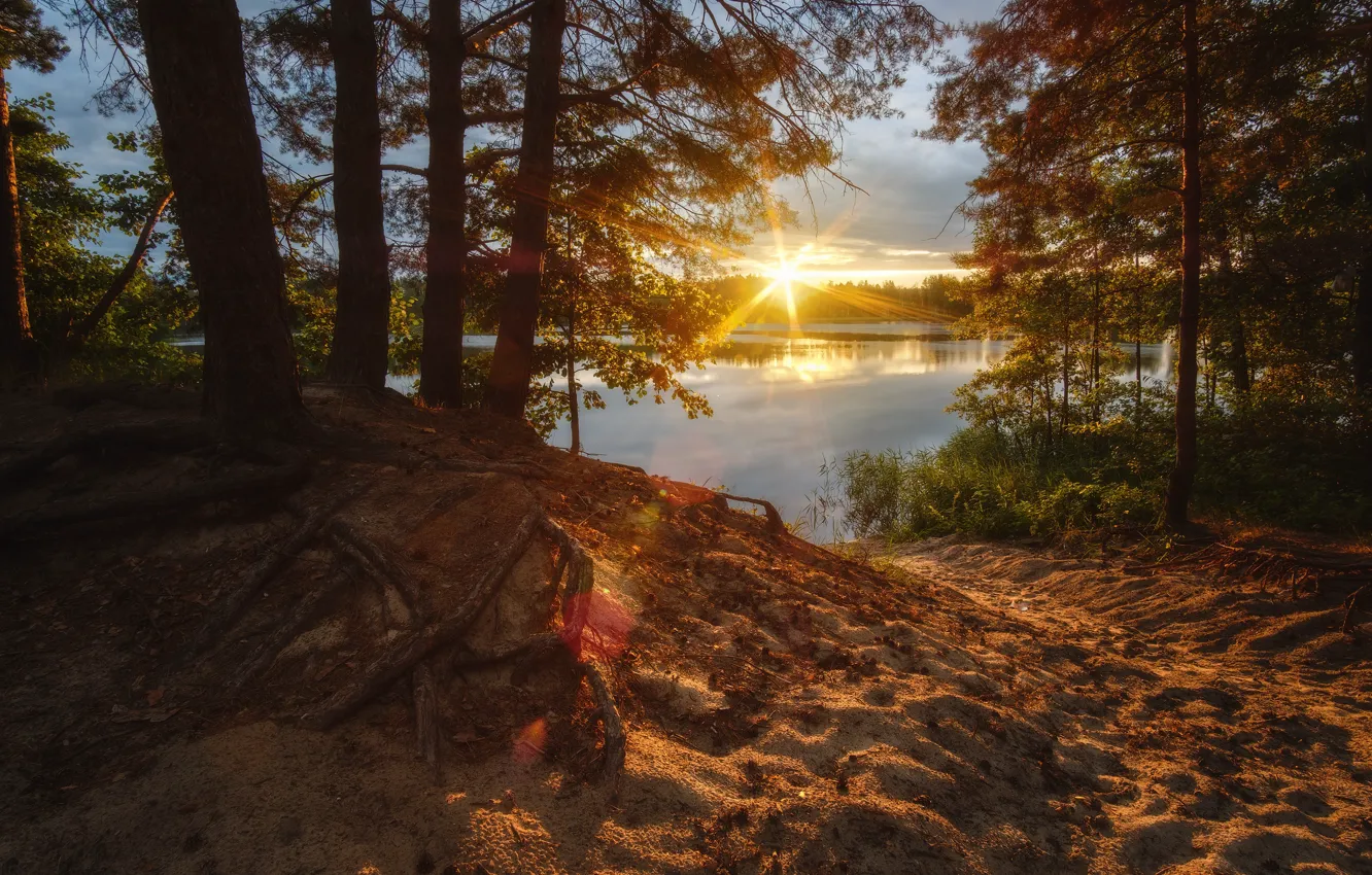Photo wallpaper the sun, trees, sunset, river