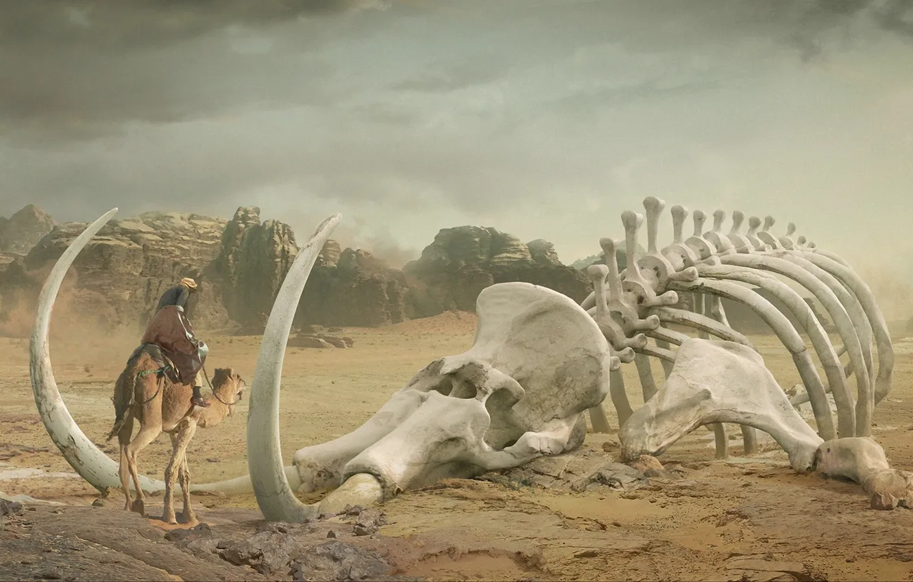 Photo wallpaper desert, art, camel, skeleton, mammoth, tusks, giant, Bedouin