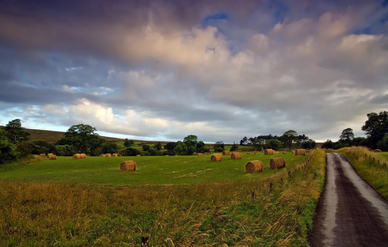 Photo wallpaper road, field, landscape, hay