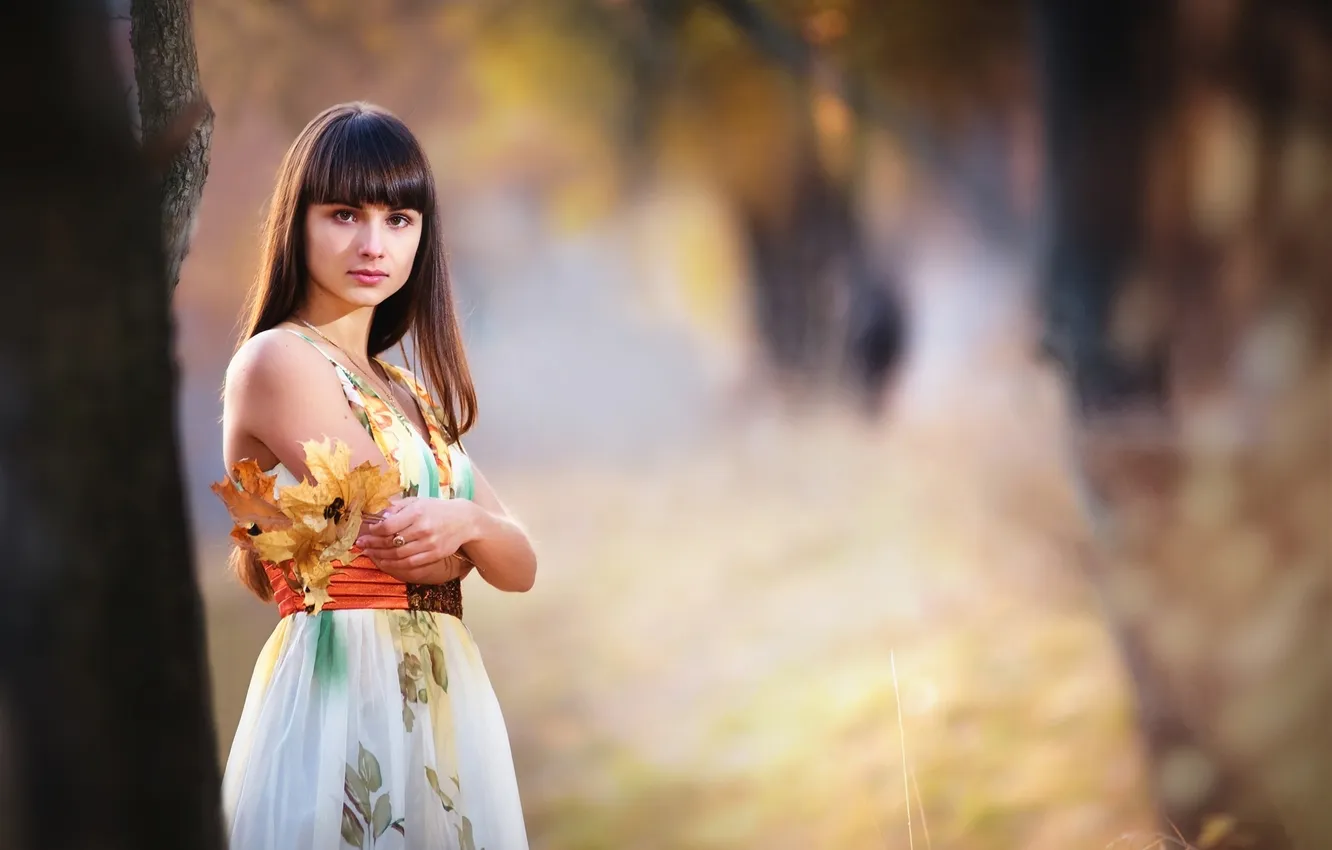 Photo wallpaper autumn, forest, look, leaves, brown hair, sundress