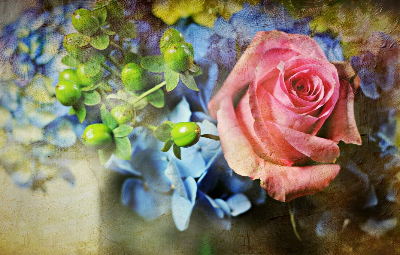 Photo wallpaper flowers, style, rose