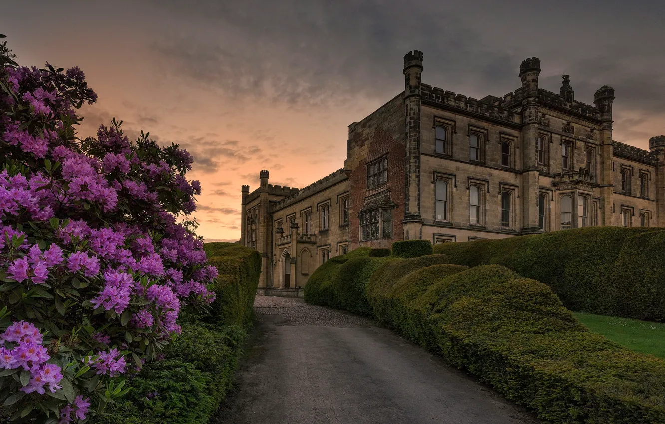 Photo wallpaper flowers, castle, England, alley, Derbyshire, Elvaston