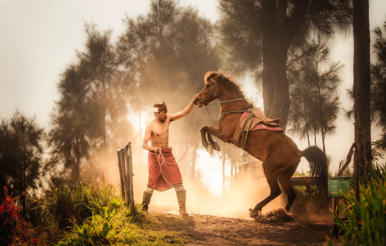Photo wallpaper man, horse, training