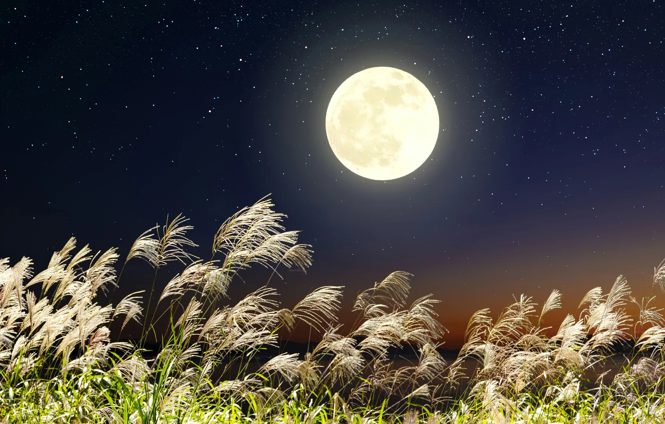 Photo wallpaper light, moon, sky, landscape, japan, nature, night, background