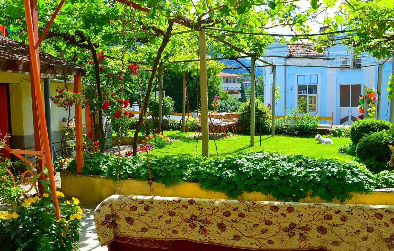 Photo wallpaper flowers, nature, spring, yard, nature, flowers, spring