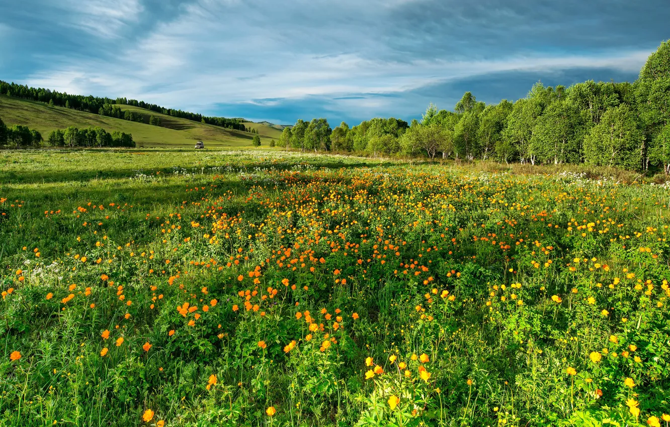 Photo wallpaper greens, field, machine, summer, the sky, grass, clouds, light