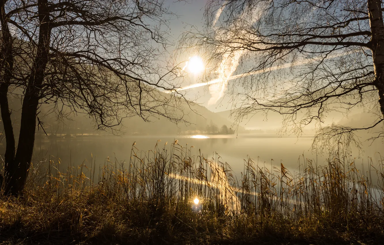 Photo wallpaper autumn, the sky, grass, the sun, clouds, light, trees, mountains
