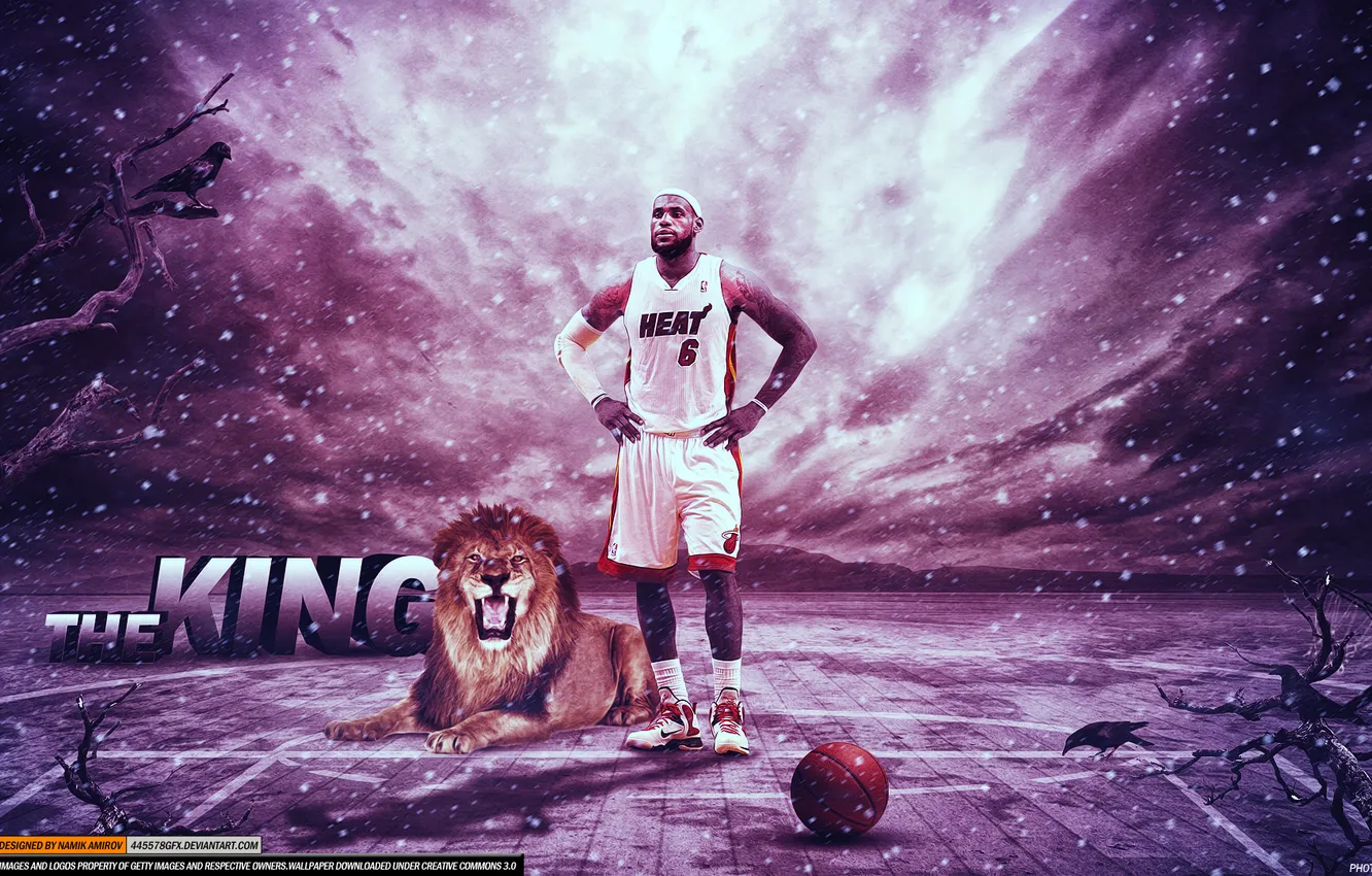 Photo wallpaper Leo, flooring, Basketball, basketball, lion, NBA, king, LeBron James