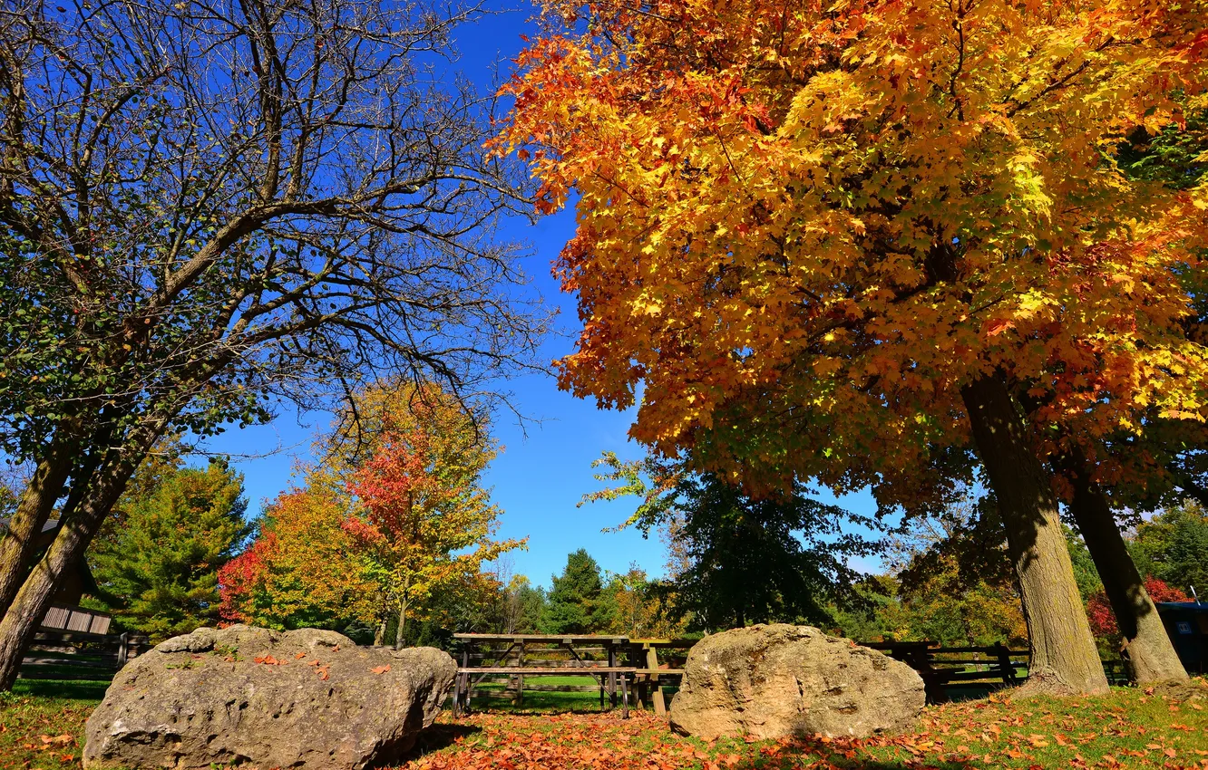 Photo wallpaper autumn, the sky, trees, Park, stones, the fence