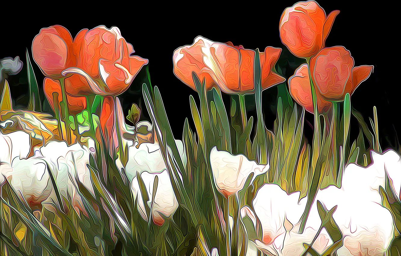 Photo wallpaper line, abstraction, rendering, paint, tulips