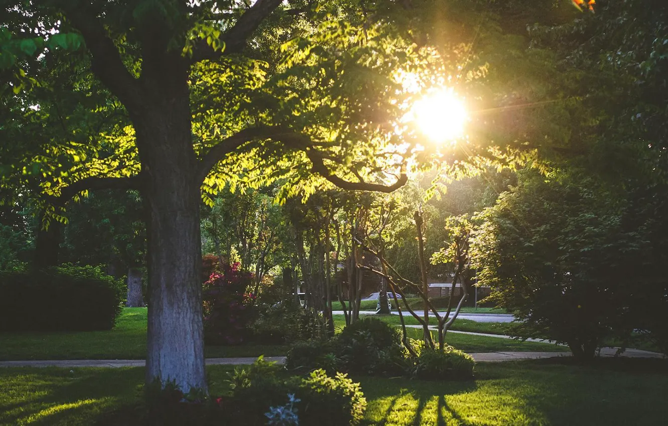 Photo wallpaper summer, the sun, the city, Park