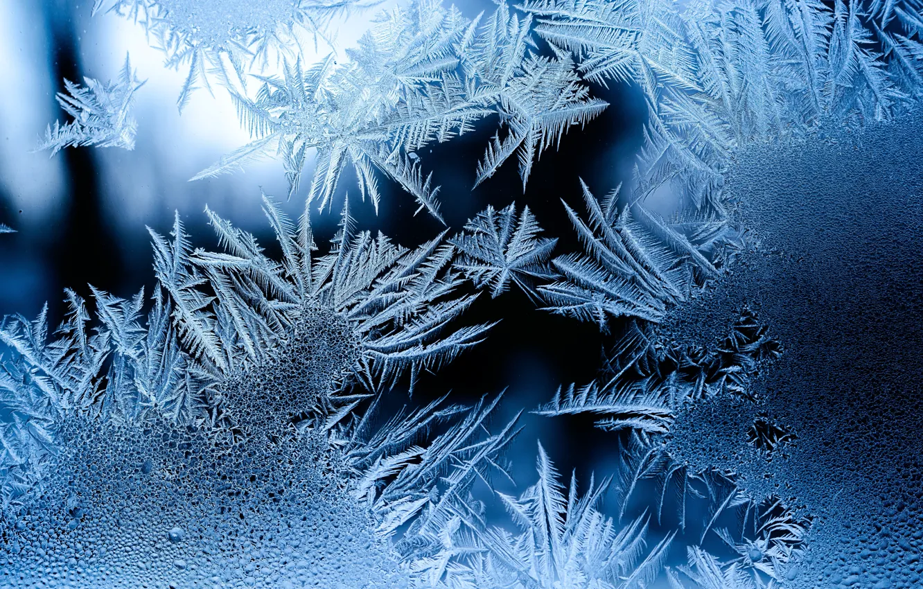 Photo wallpaper cold, ice, winter, frost, glass, snow, pattern, texture
