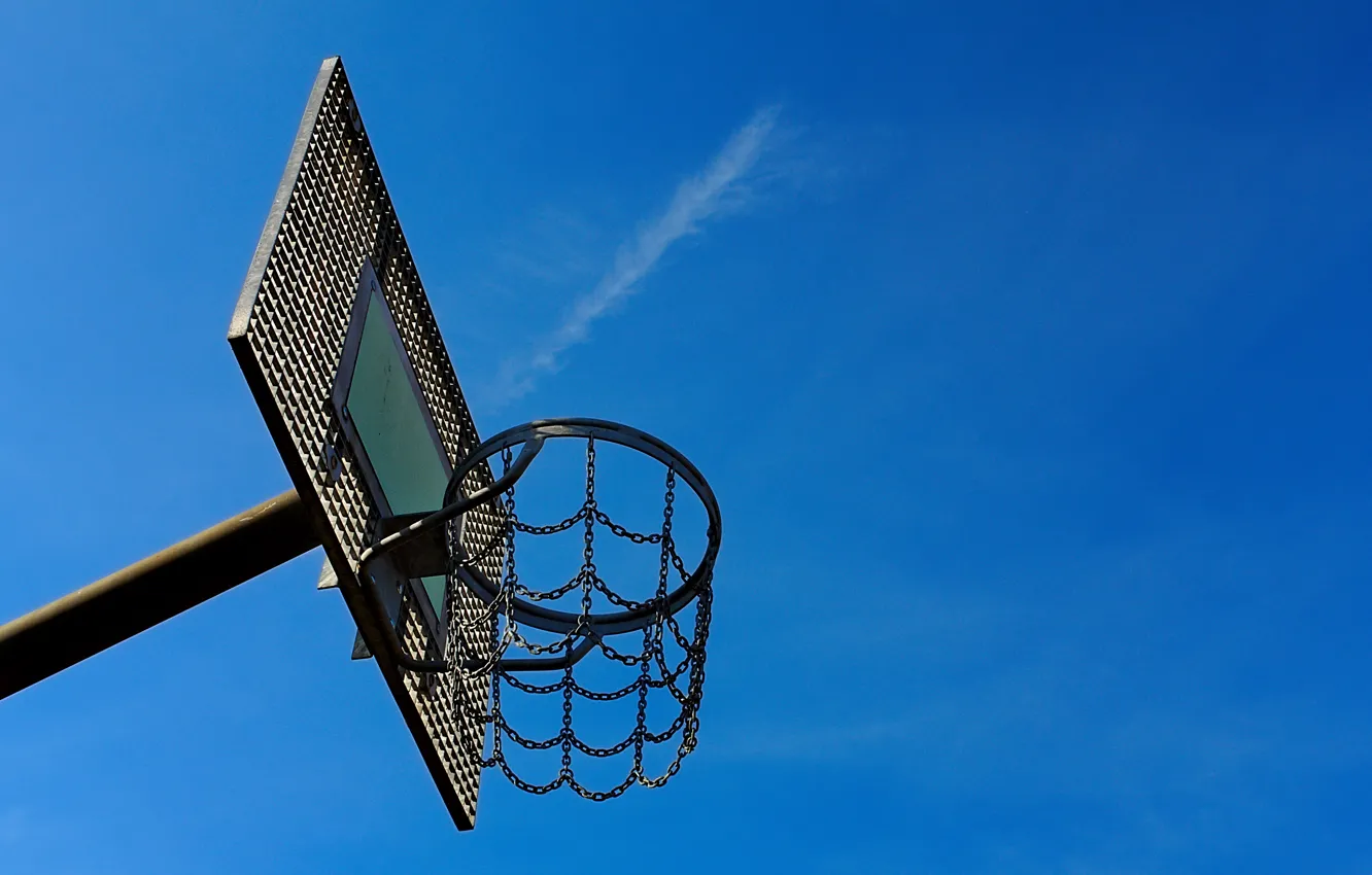 Photo wallpaper sport, ring, shield