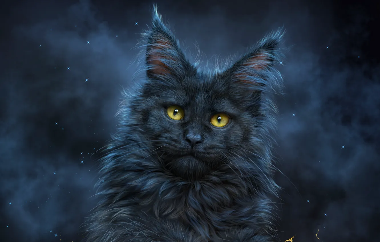 Photo wallpaper eyes, cat, black, handsome