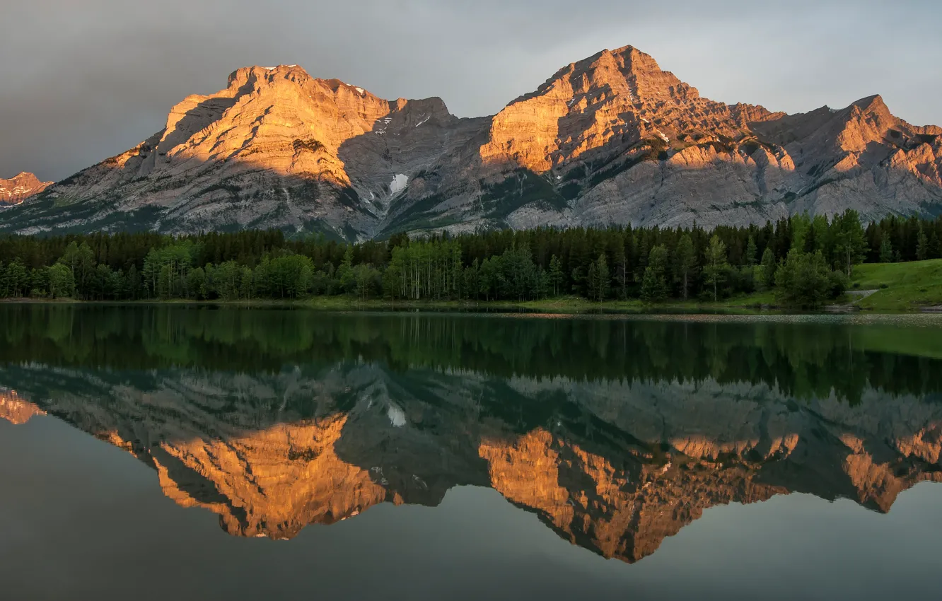 Photo wallpaper forest, summer, the sky, clouds, light, trees, landscape, mountains