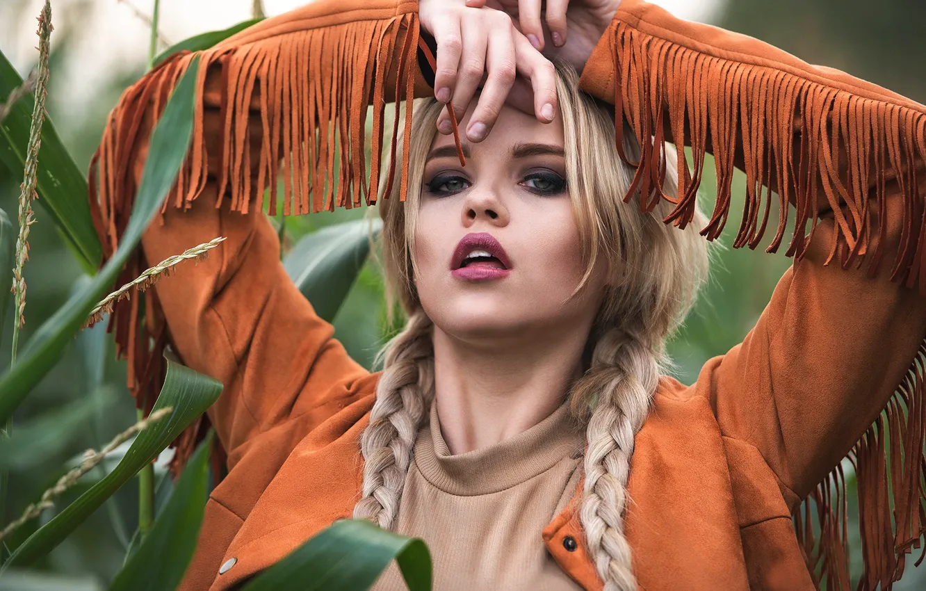 Photo wallpaper braid, sponge, teeth, Jack Russell, Norton Jack, Lucy Jackson