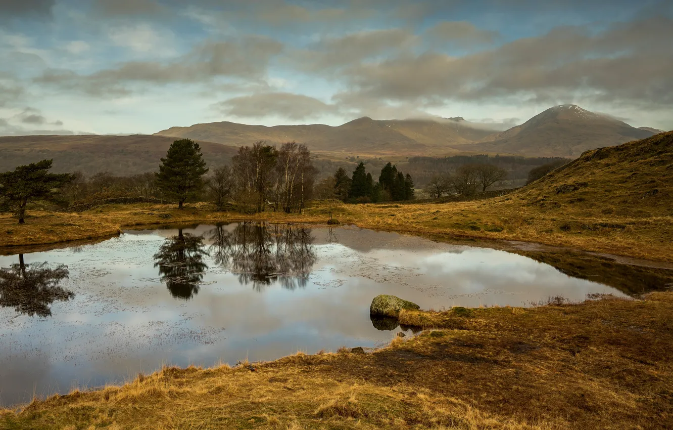 Photo wallpaper autumn, forest, the sky, clouds, trees, landscape, mountains, nature