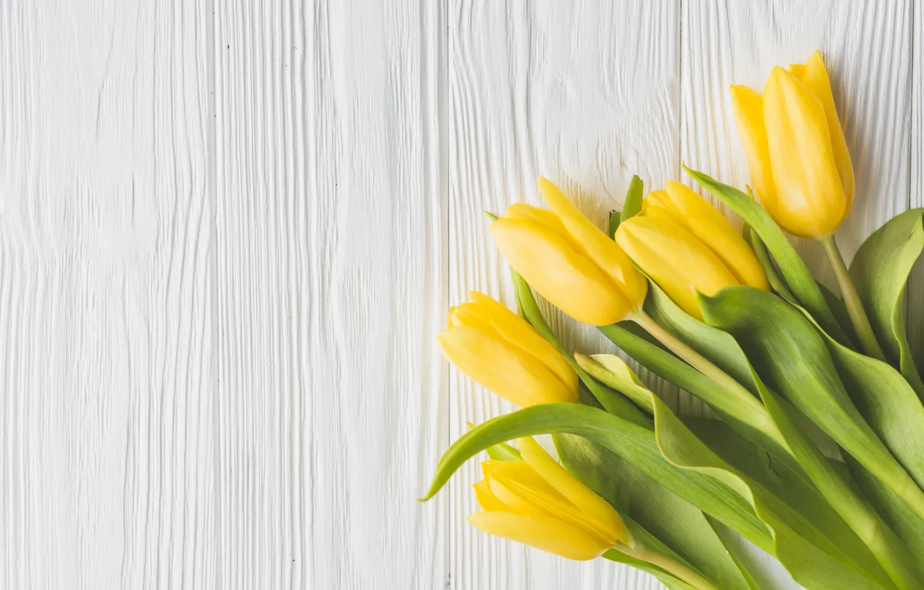 Photo wallpaper flowers, yellow, bouquet, spring, tulips, fresh, yellow, wood