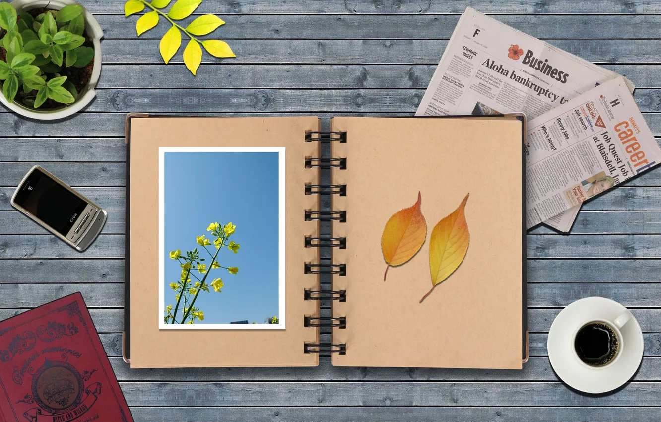 Photo wallpaper leaves, table, plant, coffee, Cup, newspaper, Notepad, book