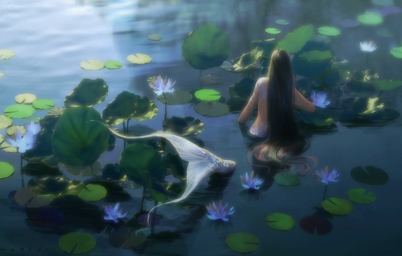 Photo wallpaper mermaid, water lilies, long hair, from the back, summer day, in the pond, by Toraji, …