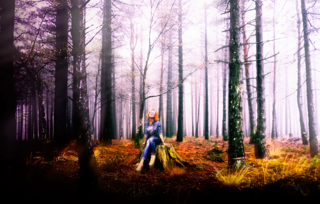 Photo wallpaper forest, grass, girl, light, trees, darkness, stump, blonde