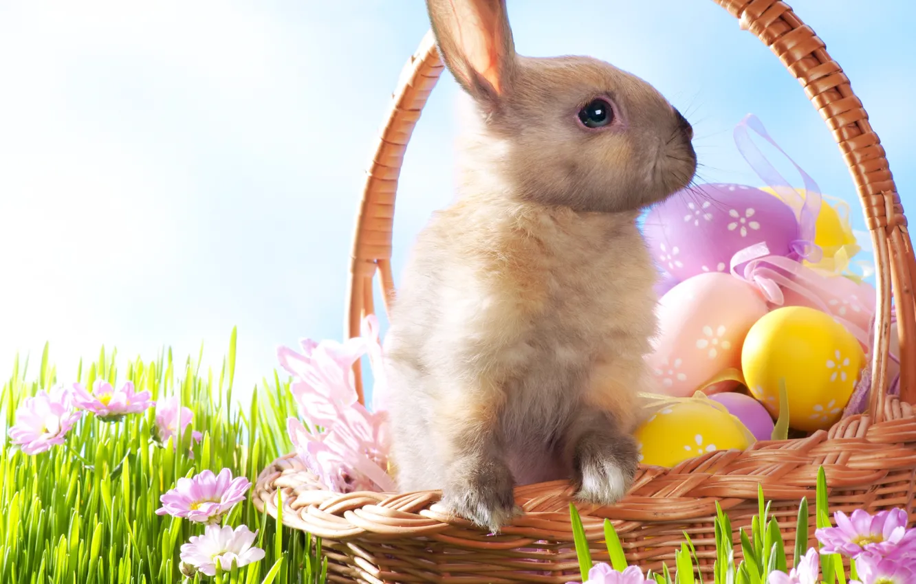 Photo wallpaper grass, flowers, holiday, eggs, Easter, Easter