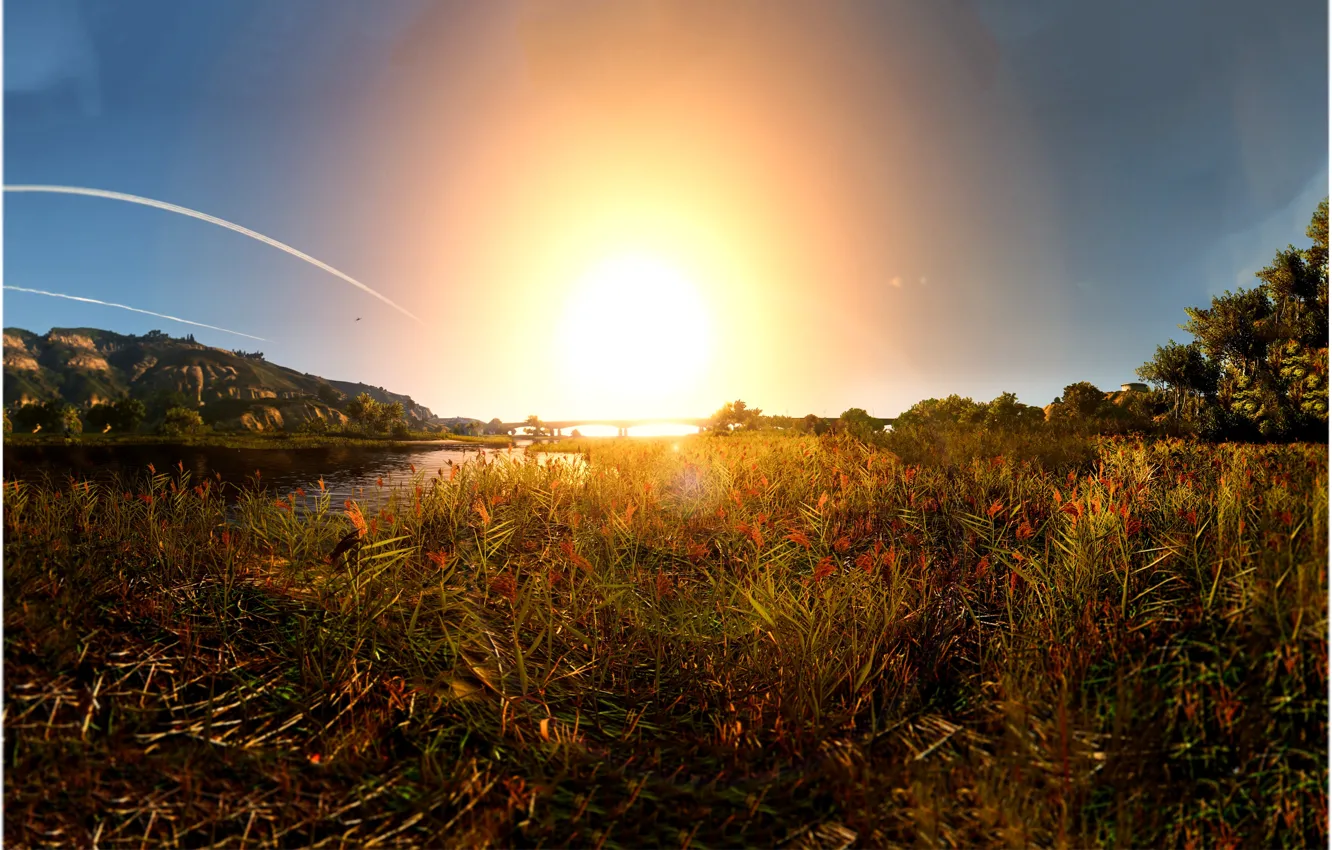 Photo wallpaper field, grass, water, the sun, landscape, bridge, glare, field