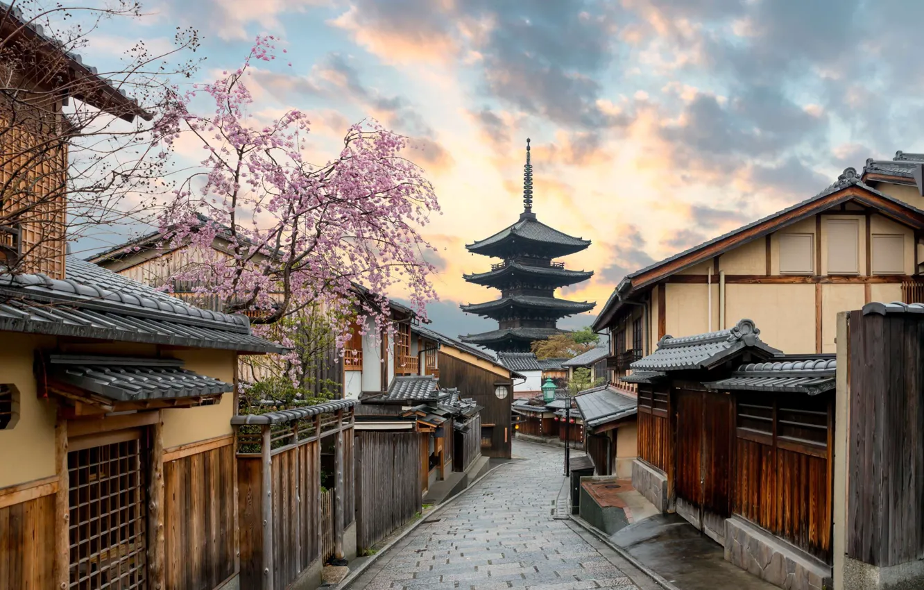 Photo wallpaper street, Japan, Sakura, pagoda, Kyoto