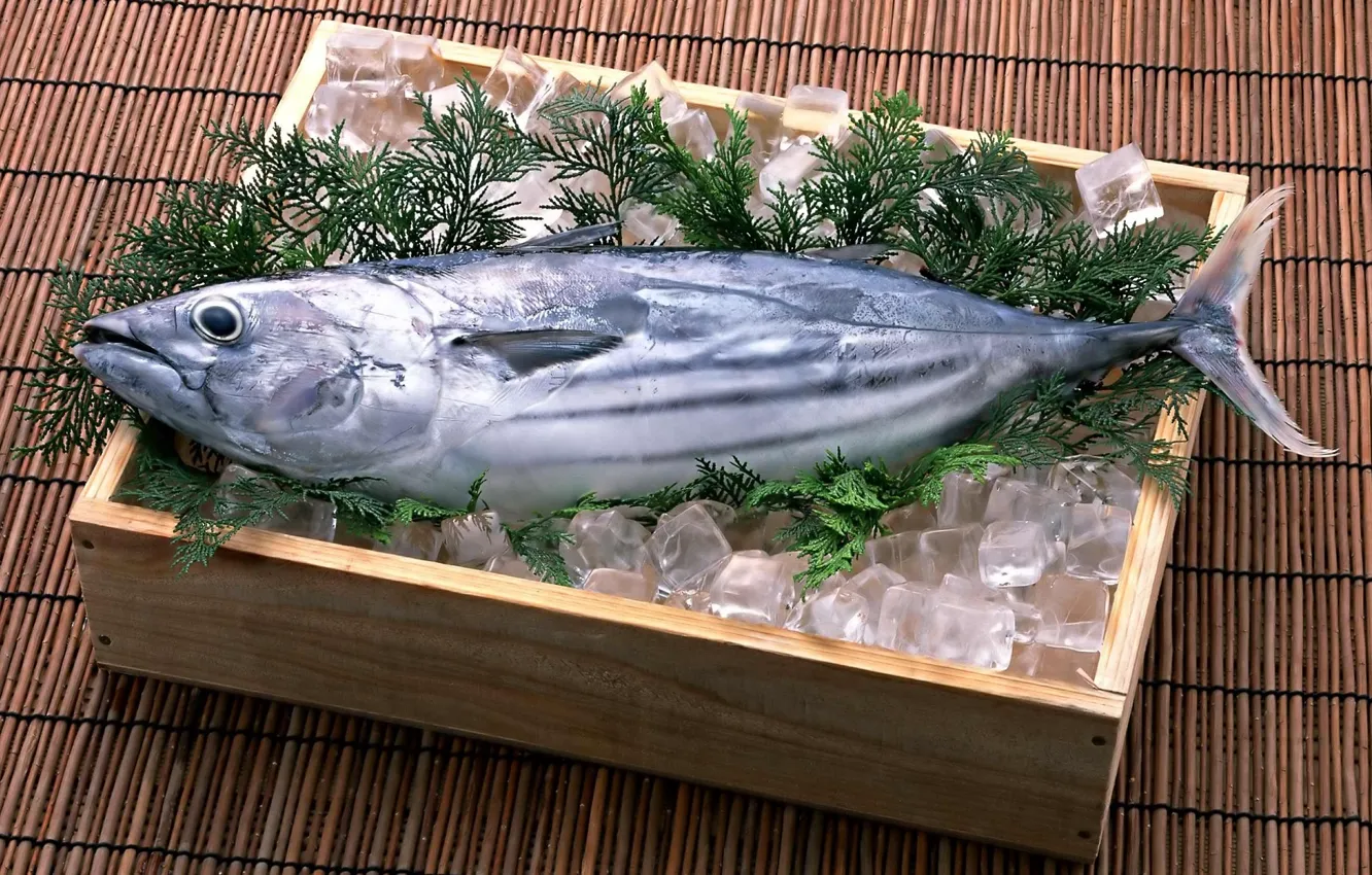 Photo wallpaper ice, fish, Rybin