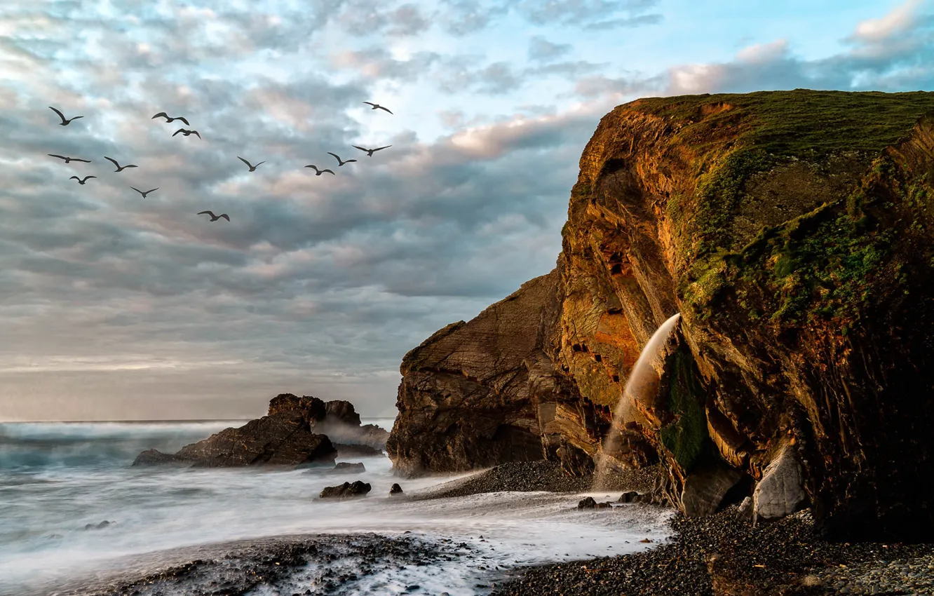Photo wallpaper landscape, nature, the ocean, rocks, bird, shore, England, surf