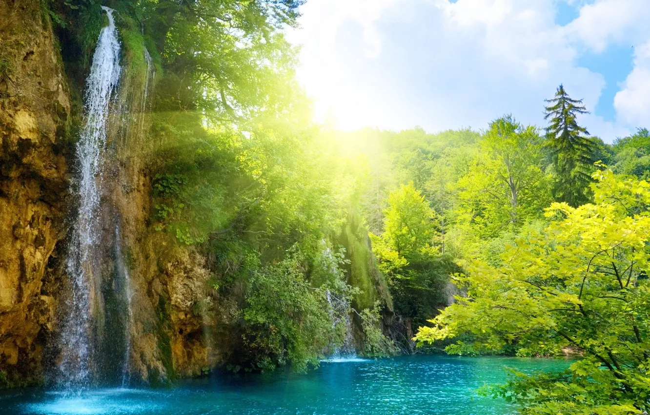 Photo wallpaper forest, the sky, water, the sun, waterfall, solar