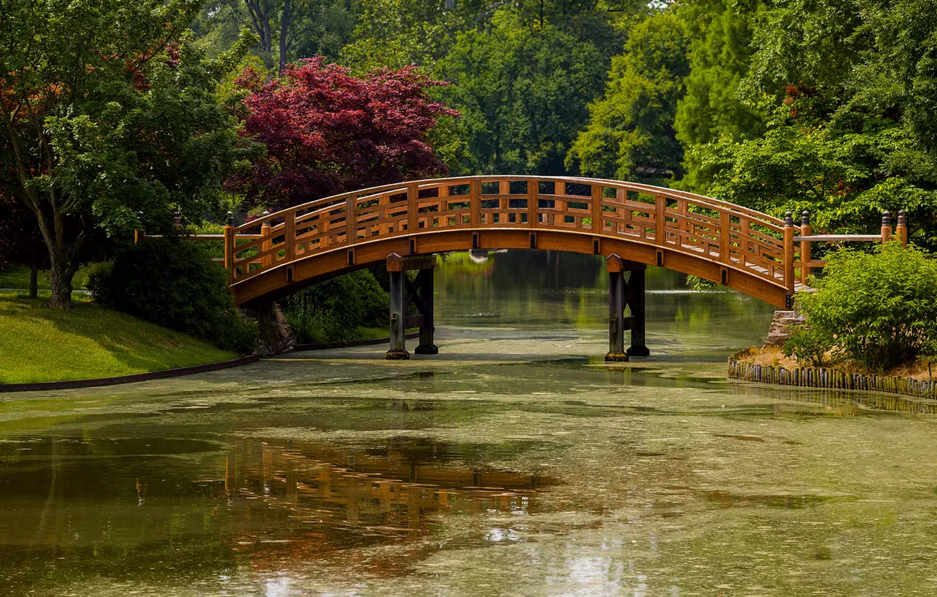 Photo wallpaper greens, the sun, trees, bridge, pond, Park, USA, Missouri Botanical Garden