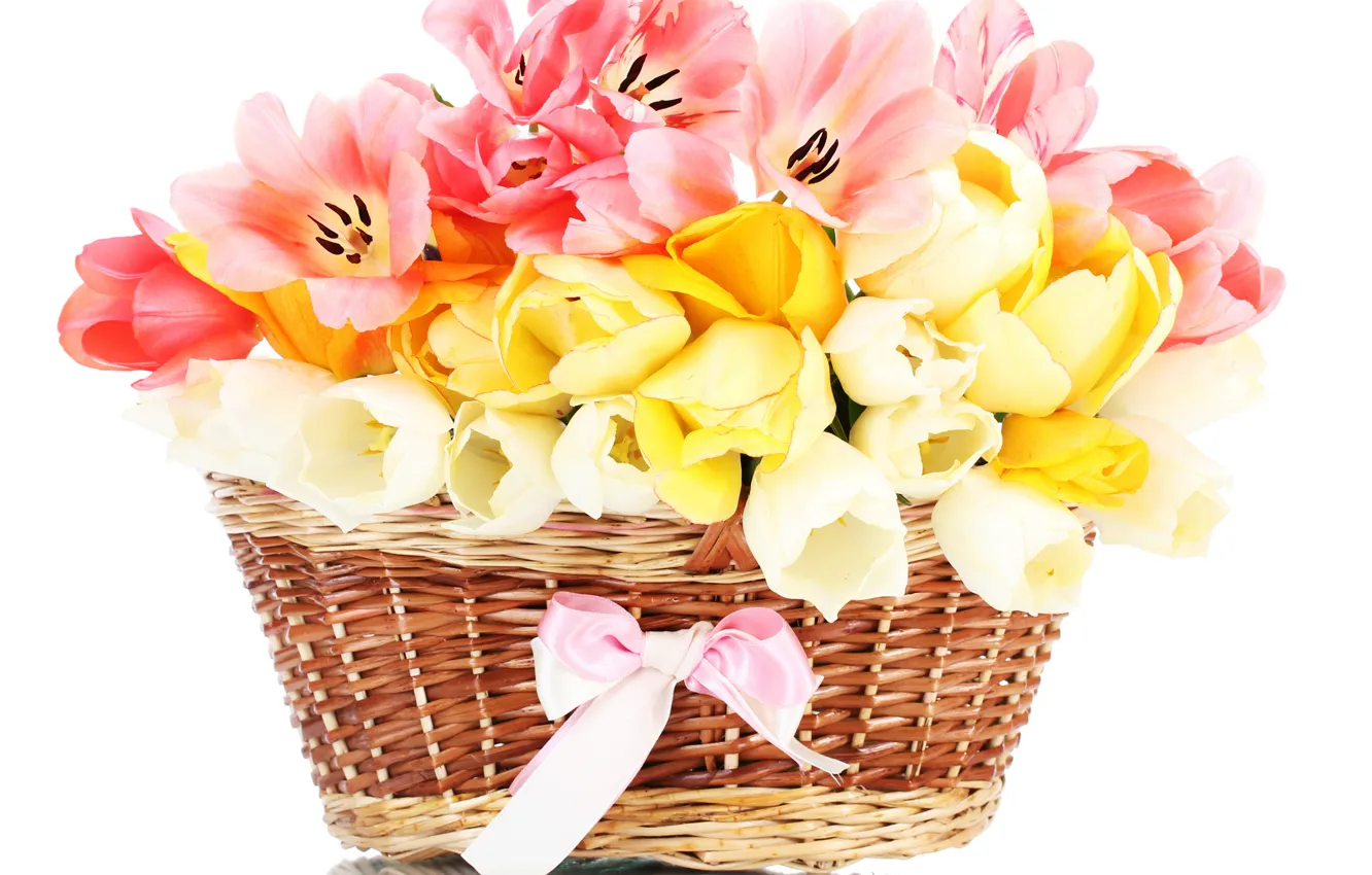 Photo wallpaper flower, flowers, nature, basket, Tulip, bouquet, spring, tape