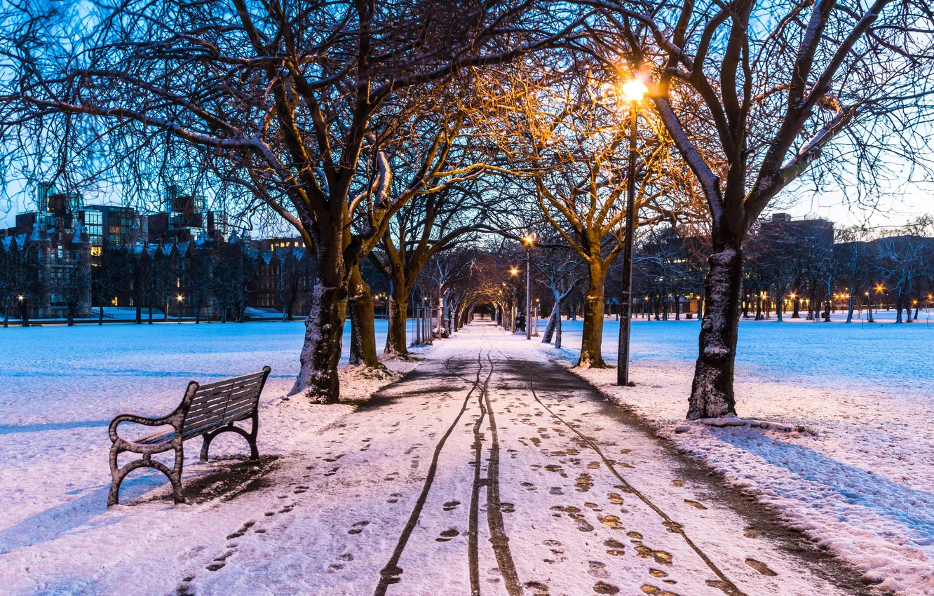 Photo wallpaper winter, the sky, snow, trees, bench, night, city, the city