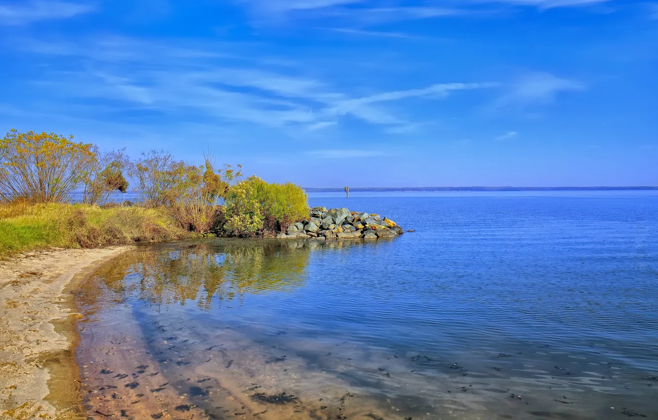 Photo wallpaper sea, the sky, stones, shore, the bushes, tree