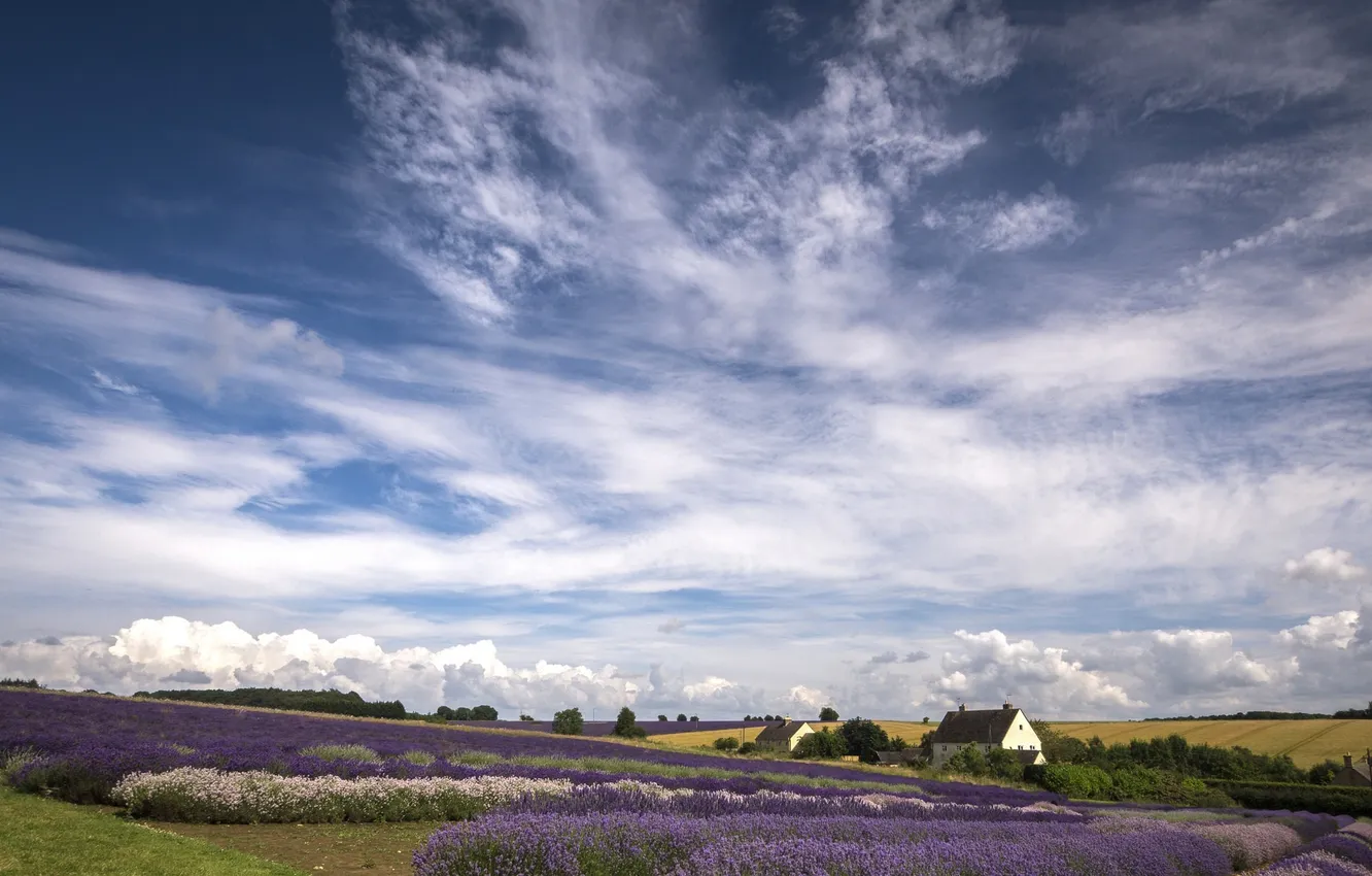 Photo wallpaper field, the sky, clouds, nature, home, lavender
