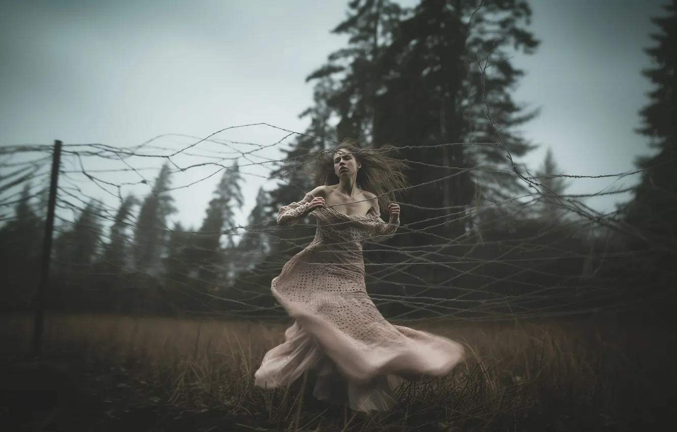 Photo wallpaper field, forest, girl, nature, pose, overcast, network, the fence