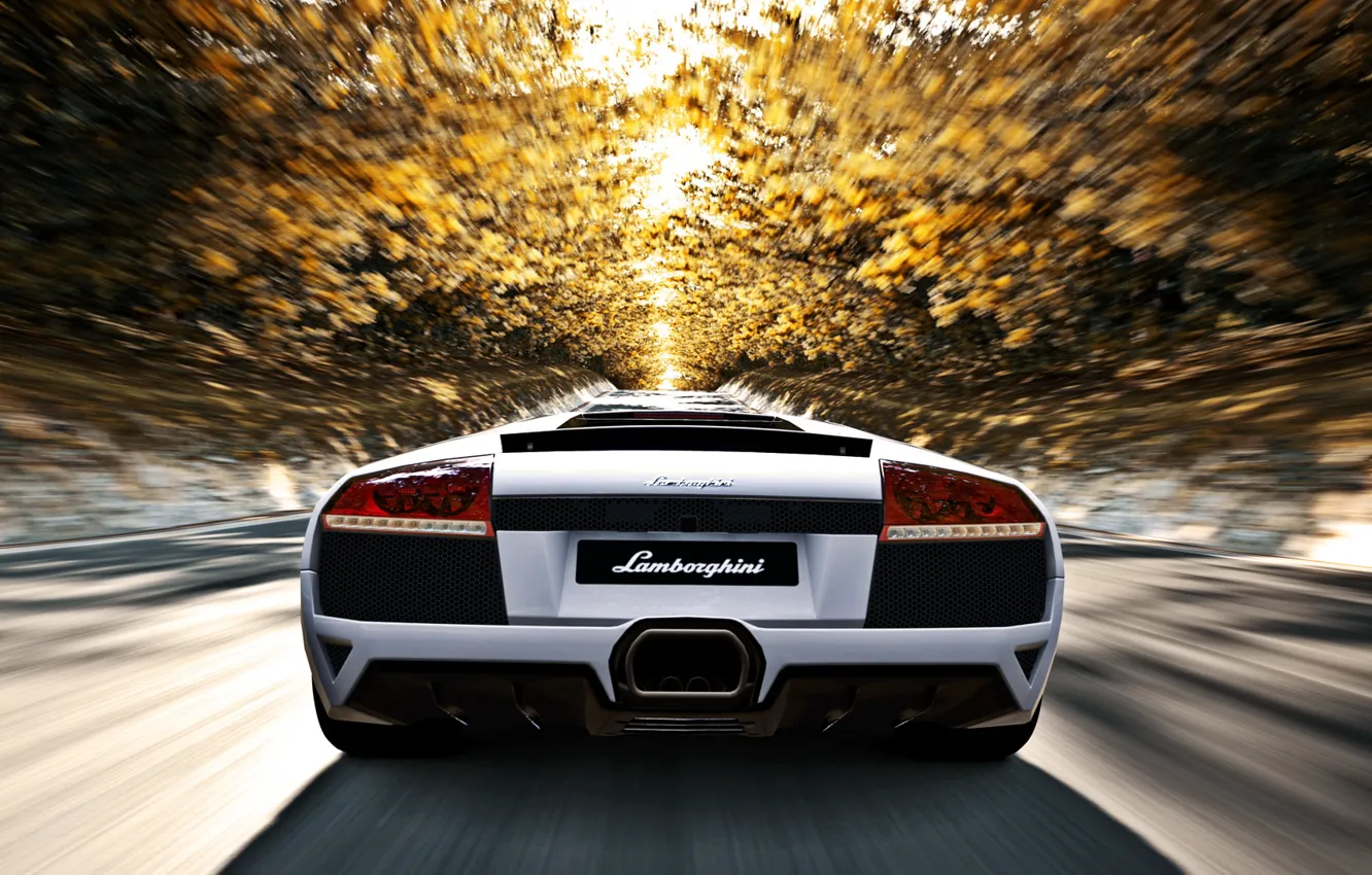 Photo wallpaper road, autumn, the sun, trees, speed, Lamborghini, white, murcielago