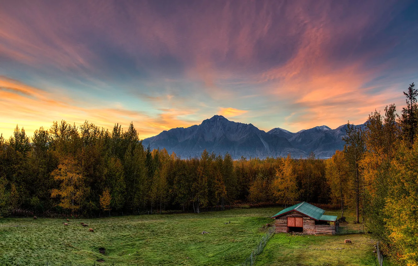 Photo wallpaper autumn, forest, the sky, clouds, trees, sunset, mountains, dawn