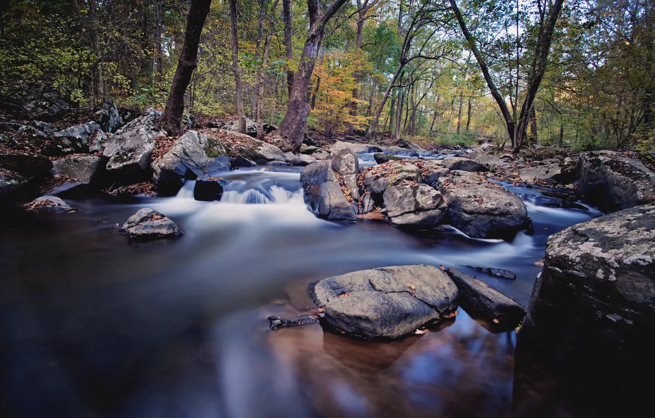 Photo wallpaper autumn, forest, river, stream, stones