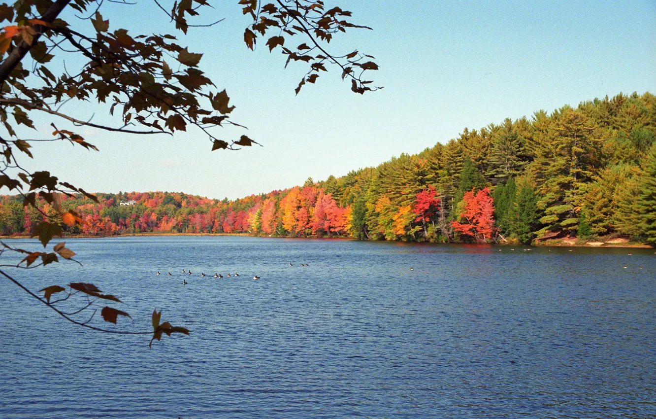 Photo wallpaper autumn, USA, Massachusetts