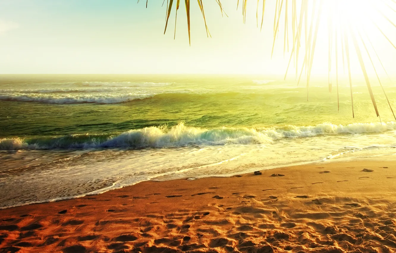 Photo wallpaper sand, sea, water, the sun, nature, Palma, palm trees, the ocean