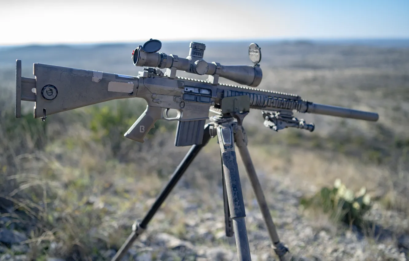 Photo wallpaper optics, Assault rifle, M110G