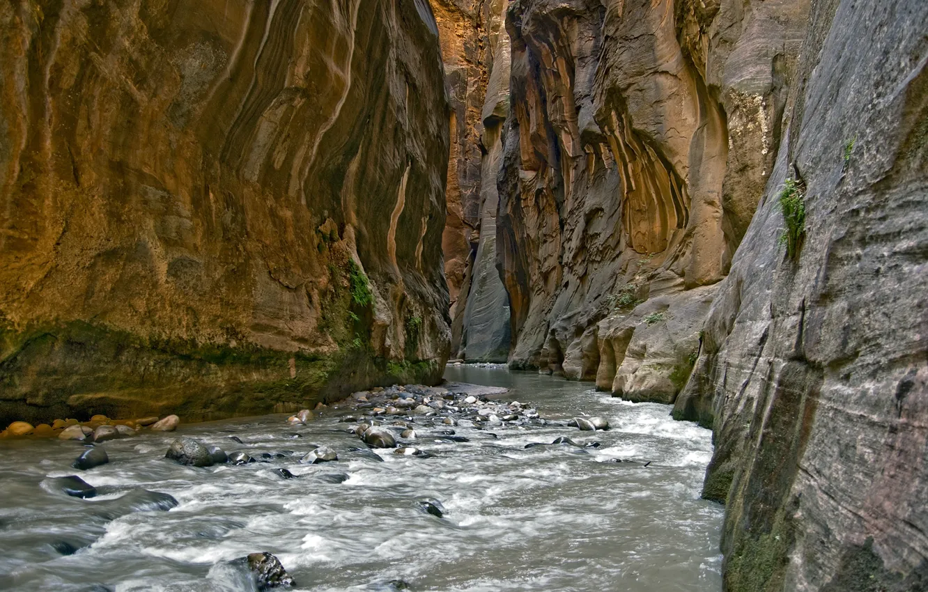 Photo wallpaper rock, river, stones, gorge