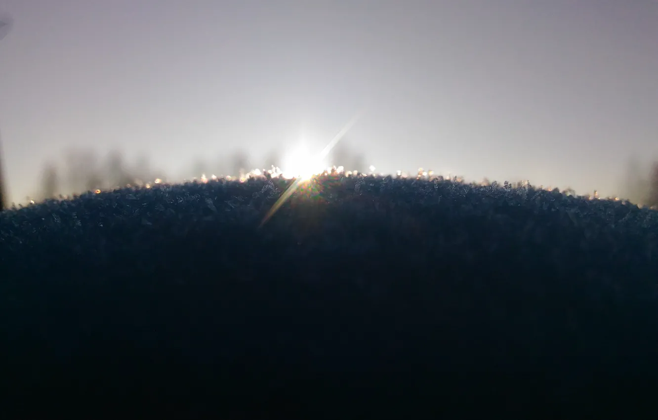 Photo wallpaper winter, the sun, snow, snowflakes, dawn, the rays of the sun