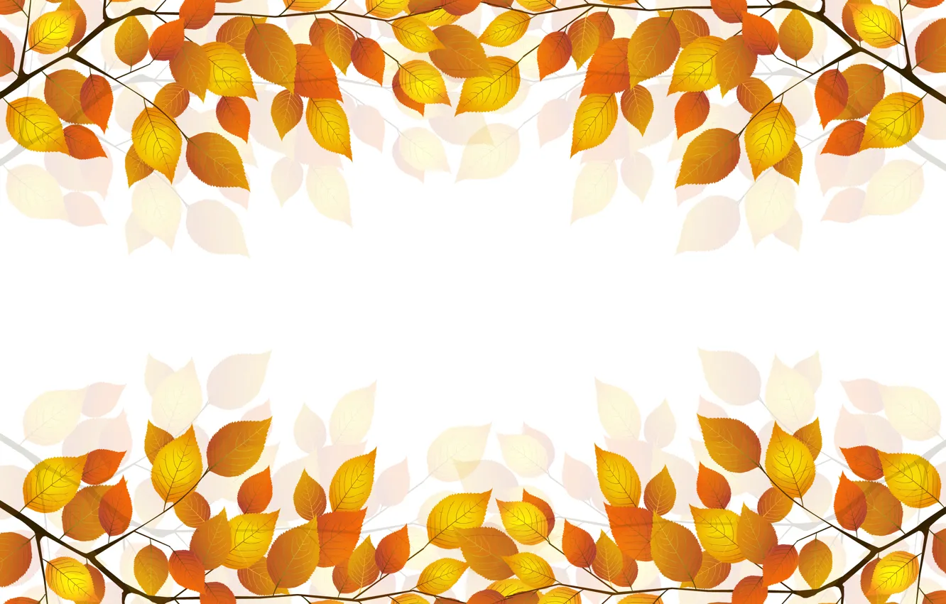 Photo wallpaper autumn, leaves, sprig, white background