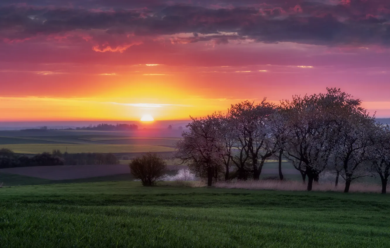 Photo wallpaper field, sunset, nature